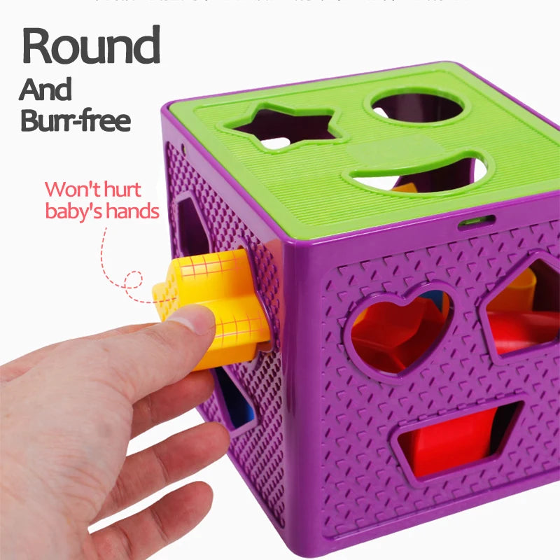 Shape Sorter Toy Box for Early Learning & Color Matching