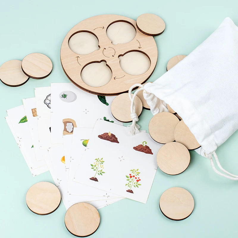 Life Cycle Montessori Kit for Kids – Fun Biology Learning Set