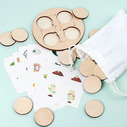 Life Cycle Montessori Kit for Kids – Fun Biology Learning Set