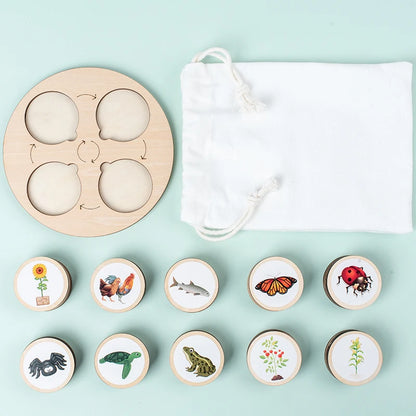 Life Cycle Montessori Kit for Kids – Fun Biology Learning Set