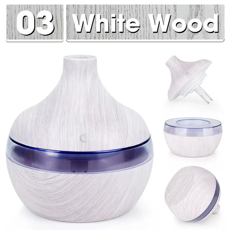 Ultrasonic Air Humidifier with Essential Oil Aroma Therapy