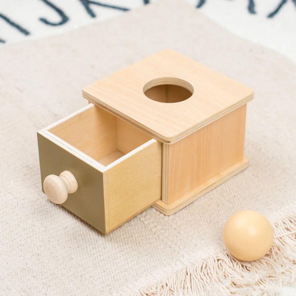 Montessori Wooden Ball Drop Toy – Early Learning Fun