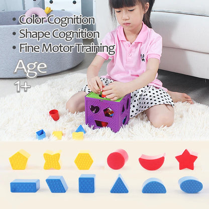 Shape Sorter Toy Box for Early Learning & Color Matching