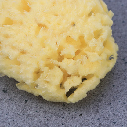 Honeycomb Natural Bath Sponge – Gentle for Sensitive Skin