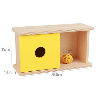 Montessori Coin Box Toy for Toddlers – Boost Fine Motor Skills